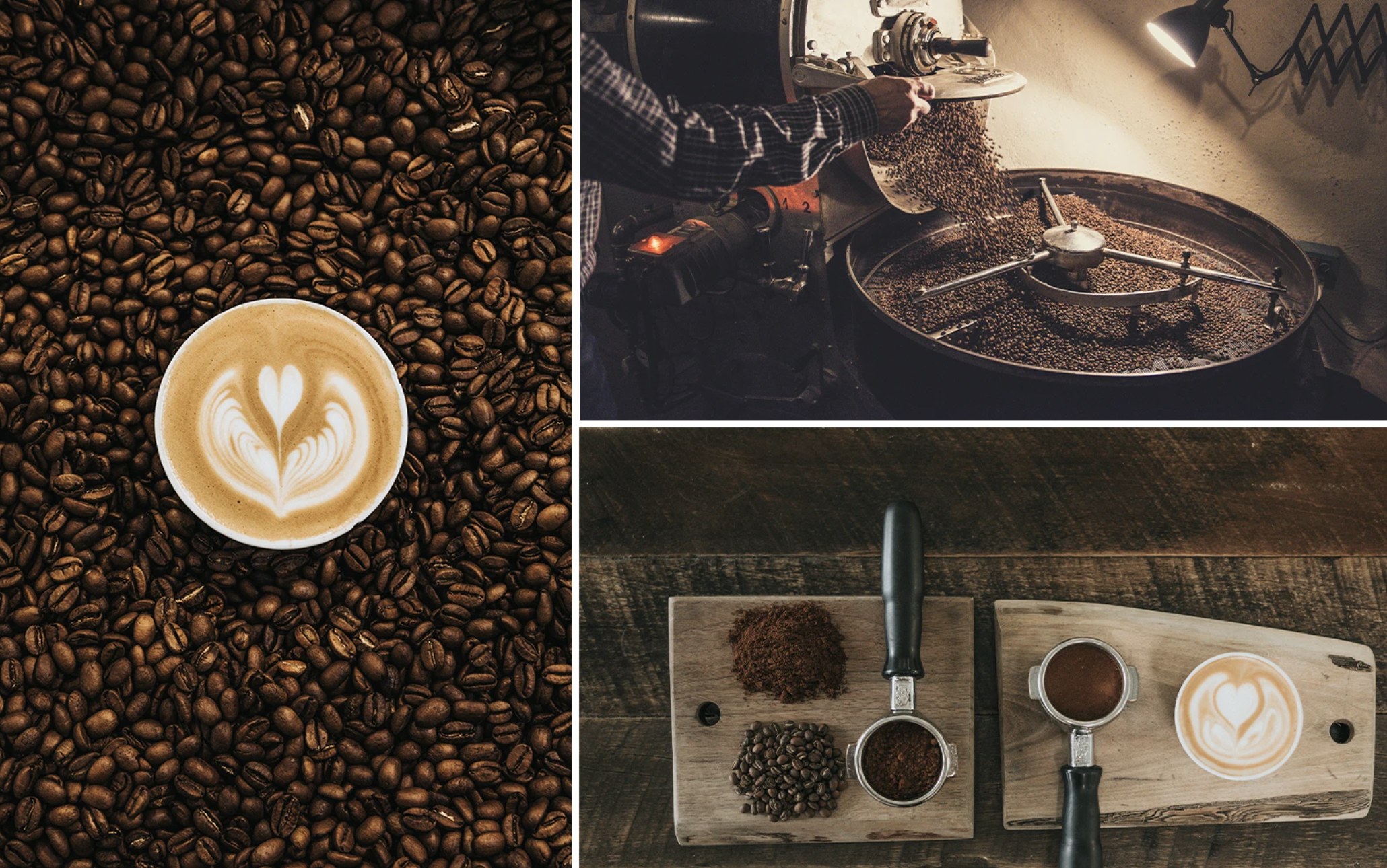 The Coffee Guild: A Fictional Brand Identity